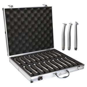 LY-H101 Stainless Steel Handpiece Kit