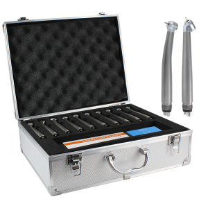 LY-H302 LED Shadowless Handpiece Kit
